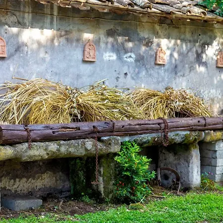 Il Castelletto Del Salamaro Ferienhaus Viterbo